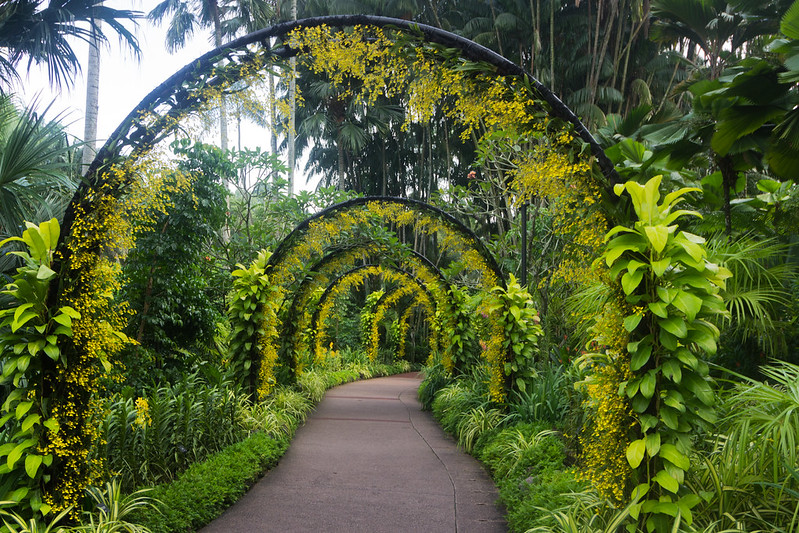 singapore-botanic-gardens-romantic-destination