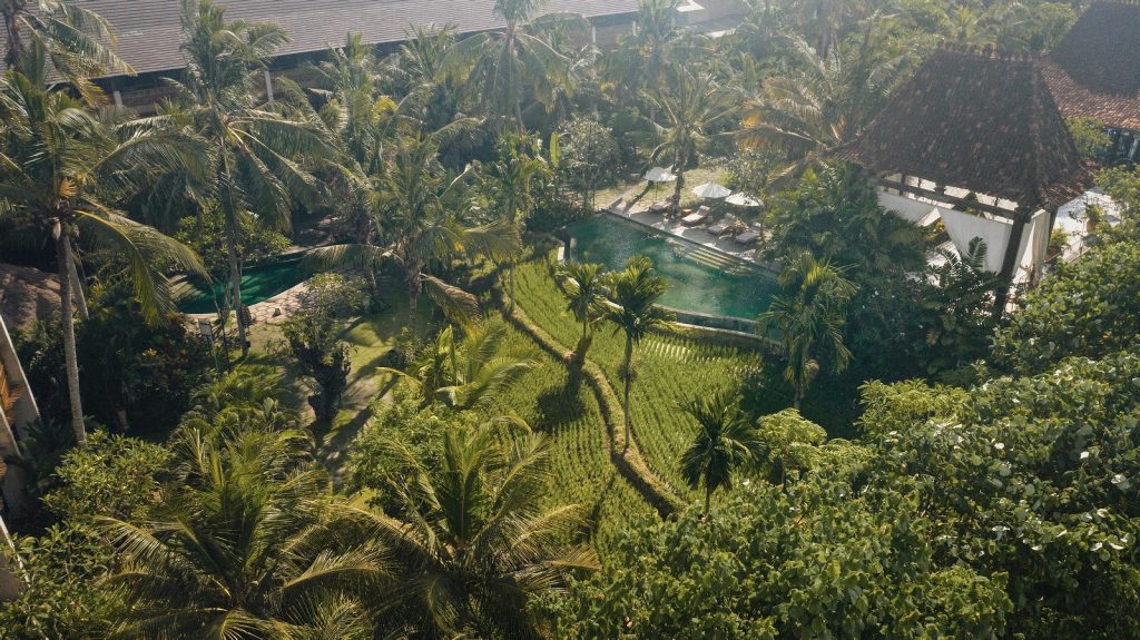 Drone view over Alaya Hotels in Ubud