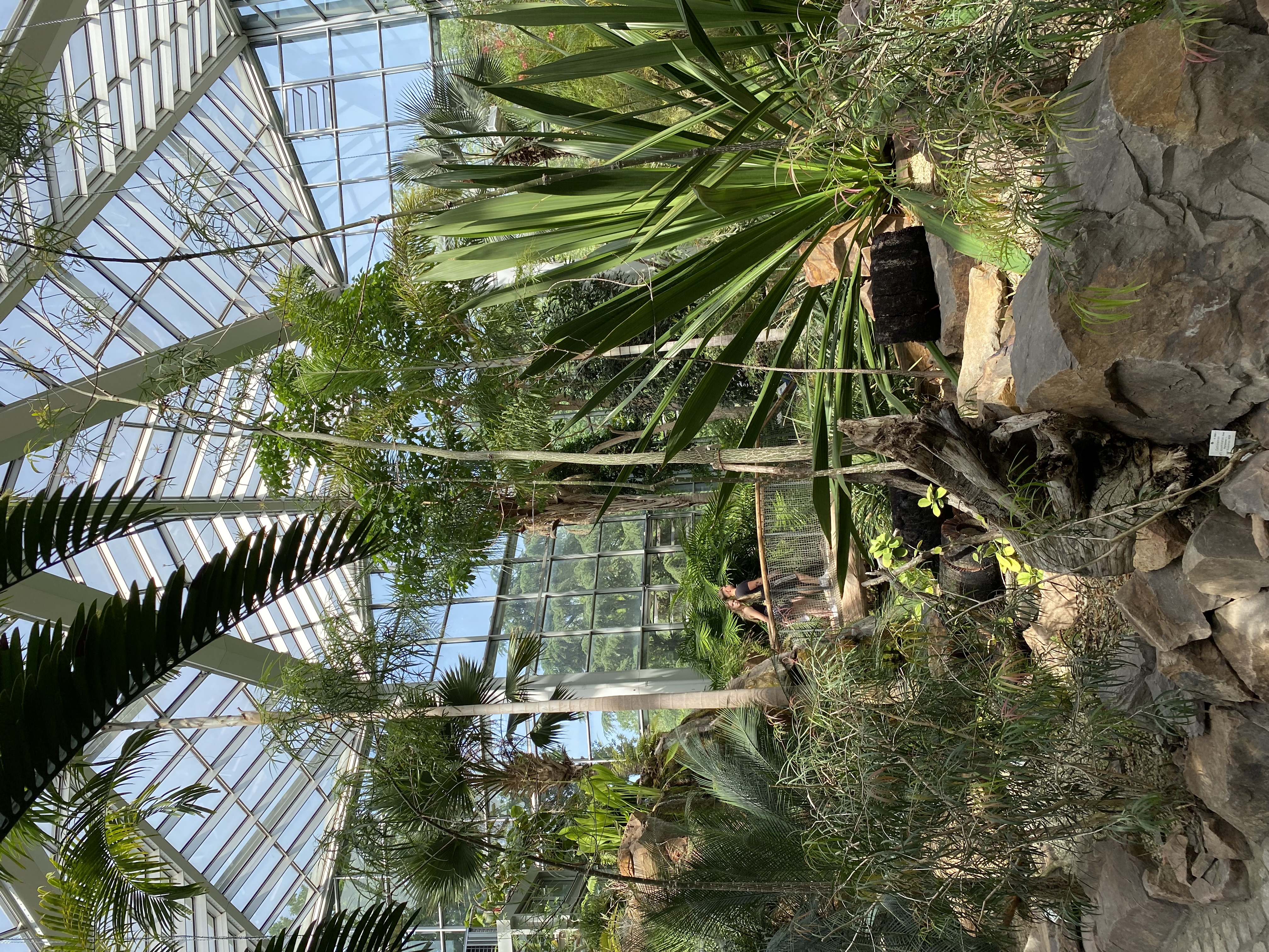 Tropical area inside the Palmengarten.